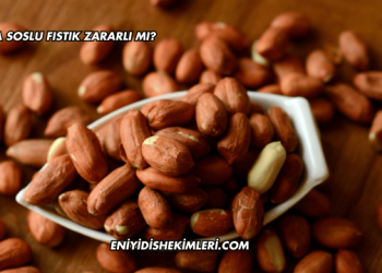 Soya Soslu Fıstık Zararlı mı?