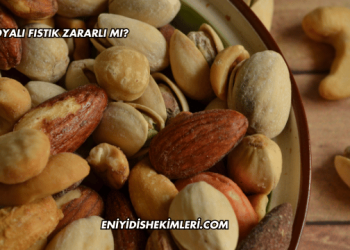 Soyalı Fıstık Zararlı mı?