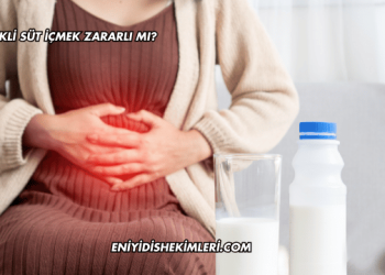 Sürekli Süt İçmek Zararlı mı?