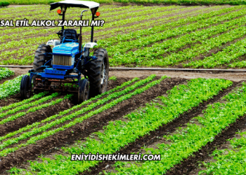 Tarımsal Etil Alkol Zararlı mı?