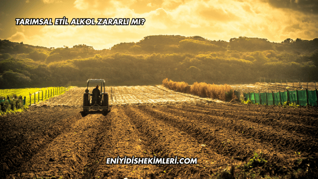 Tarımsal Etil Alkol Zararlı mı?
