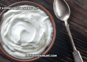 Yoğurt Köpekler İçin Zararlı mı?