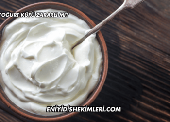 Yoğurt Küfü Zararlı mı?