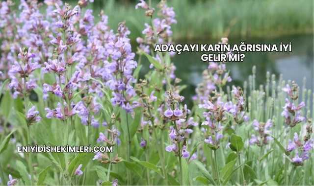 Adaçayı Karın Ağrısına İyi Gelir mi?