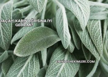 Adaçayı Karın Ağrısına İyi Gelir mi?