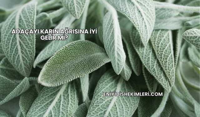 Adaçayı Karın Ağrısına İyi Gelir mi?