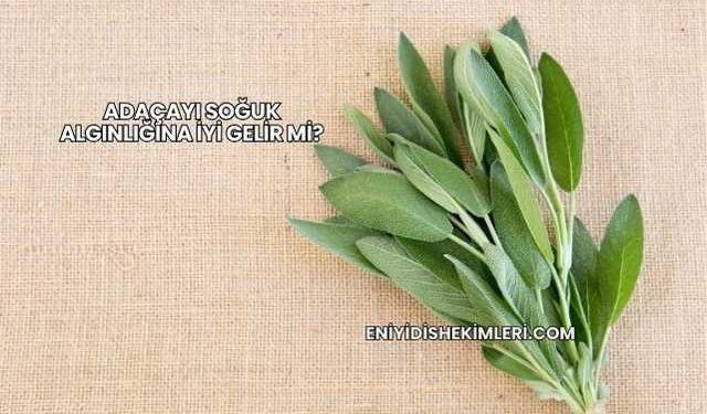 Adaçayı Soğuk Algınlığına İyi Gelir mi?