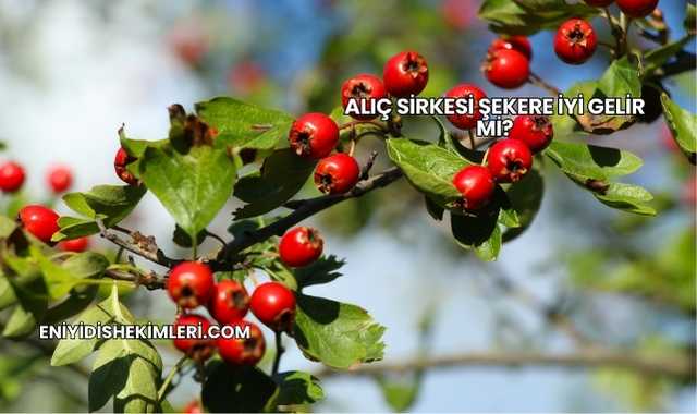Alıç Sirkesi Şekere İyi Gelir mi?