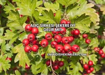 Alıç Sirkesi Şekere İyi Gelir mi?