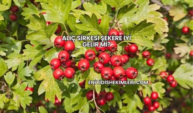 Alıç Sirkesi Şekere İyi Gelir mi?