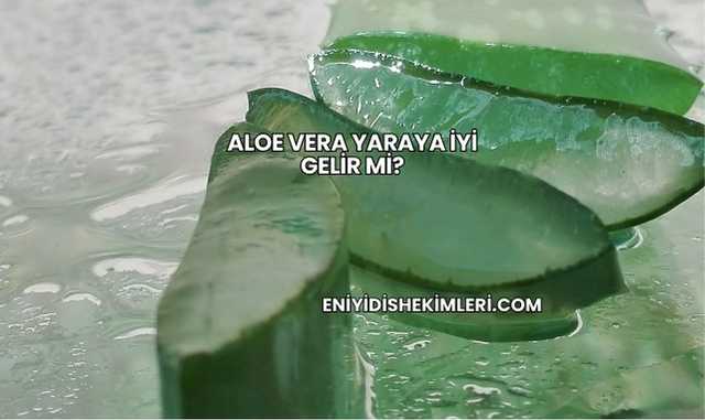 Aloe Vera Yaraya İyi Gelir mi?