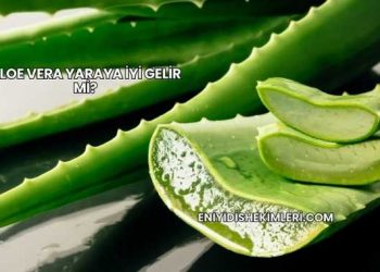 Aloe Vera Yaraya İyi Gelir mi?