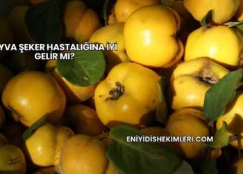 Ayva Şeker Hastalığına İyi Gelir mi?