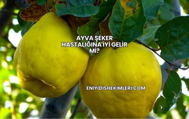 Ayva Şeker Hastalığına İyi Gelir mi?