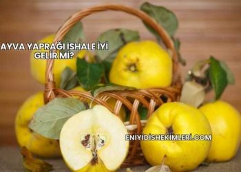Ayva Yaprağı İshale İyi Gelir mi?
