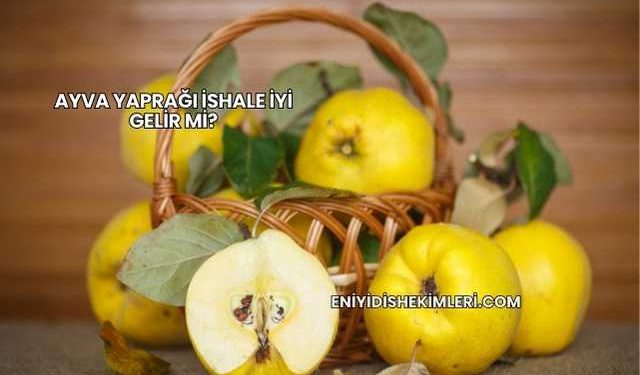 Ayva Yaprağı İshale İyi Gelir mi?