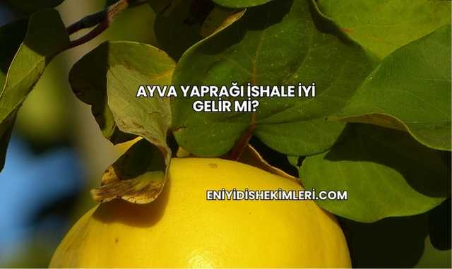 Ayva Yaprağı İshale İyi Gelir mi?