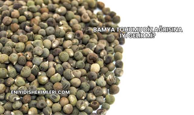 Bamya Tohumu Diz Ağrısına İyi Gelir mi?