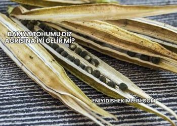 Bamya Tohumu Diz Ağrısına İyi Gelir mi?