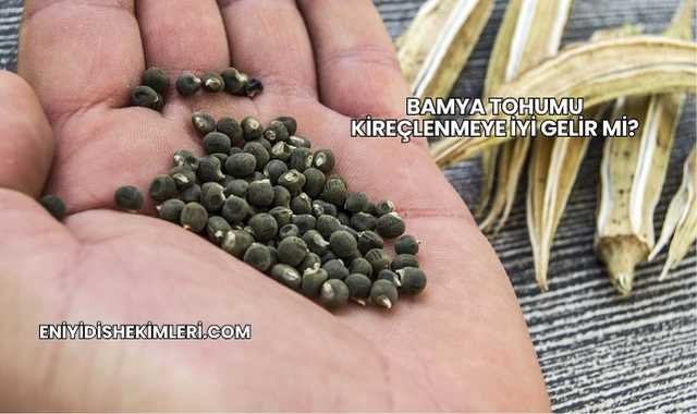 Bamya Tohumu Kireçlenmeye İyi Gelir mi?