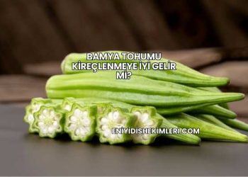 Bamya Tohumu Kireçlenmeye İyi Gelir mi?