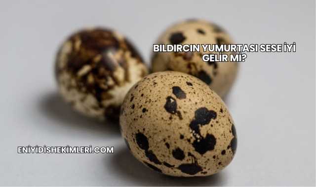 Bıldırcın Yumurtası Sese İyi Gelir mi?