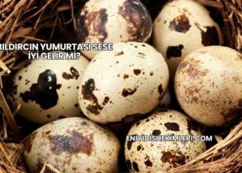 Bıldırcın Yumurtası Sese İyi Gelir mi?