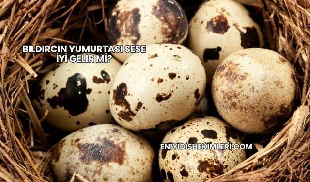 Bıldırcın Yumurtası Sese İyi Gelir mi?