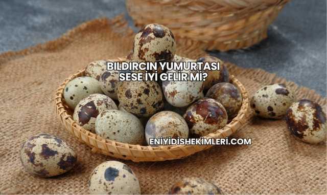 Bıldırcın Yumurtası Sese İyi Gelir mi?