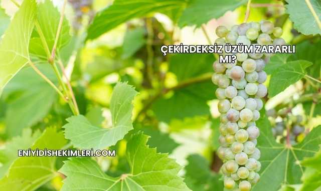 Çekirdeksiz Üzüm Zararlı mı?