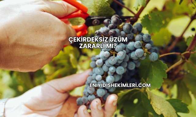 Çekirdeksiz Üzüm Zararlı mı?