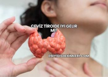 Ceviz Tiroide İyi Gelir mi?