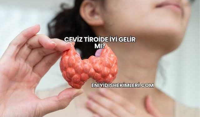 Ceviz Tiroide İyi Gelir mi?