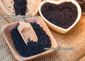 Çörek Otu Kabızlığa İyi Gelir mi?