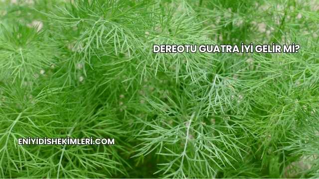 Dereotu Guatra İyi Gelir mi?