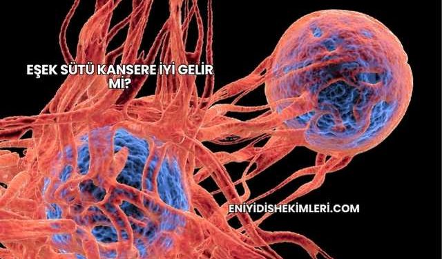 Eşek Sütü Kansere İyi Gelir mi?