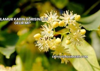 Ihlamur Karın Ağrısına İyi Gelir mi?