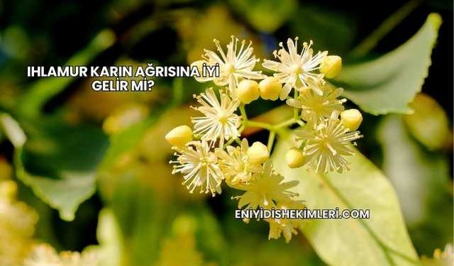 Ihlamur Karın Ağrısına İyi Gelir mi?