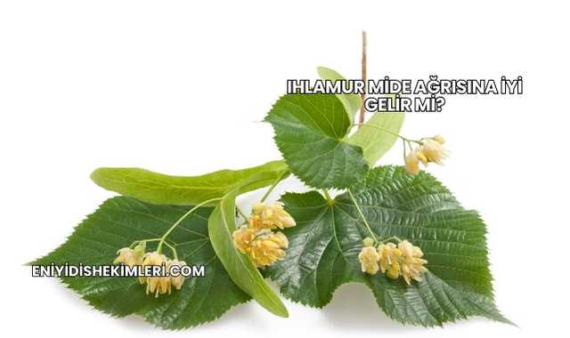 Ihlamur Mide Ağrısına İyi Gelir mi?