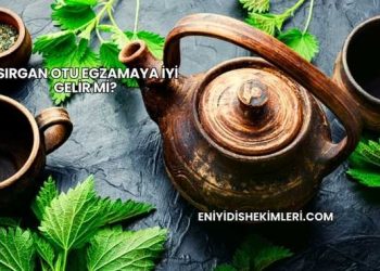 Isırgan Otu Egzamaya İyi Gelir mi?