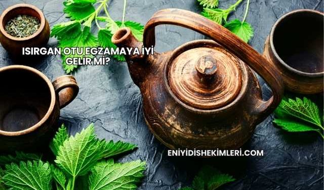 Isırgan Otu Egzamaya İyi Gelir mi?