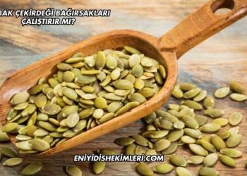 Kabak Çekirdeği Bağırsakları Çalıştırır mı?