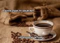 Kahve Cilde İyi Gelir mi?