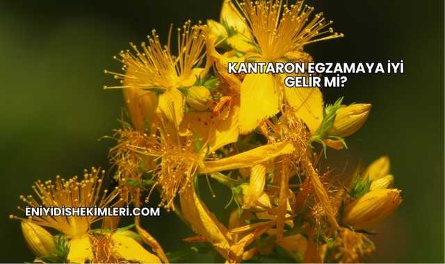 Kantaron Egzamaya İyi Gelir mi?