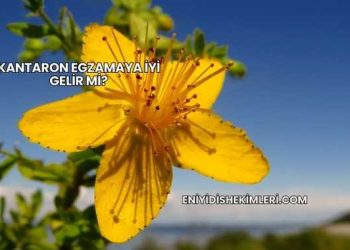 Kantaron Egzamaya İyi Gelir mi?