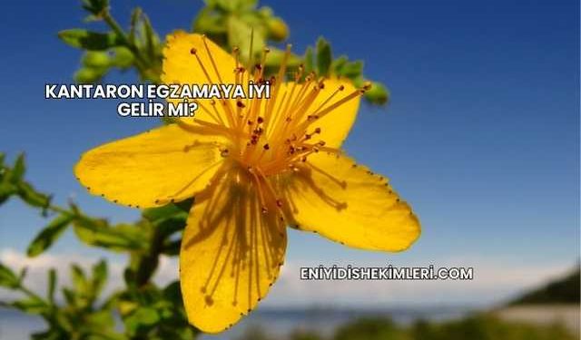 Kantaron Egzamaya İyi Gelir mi?