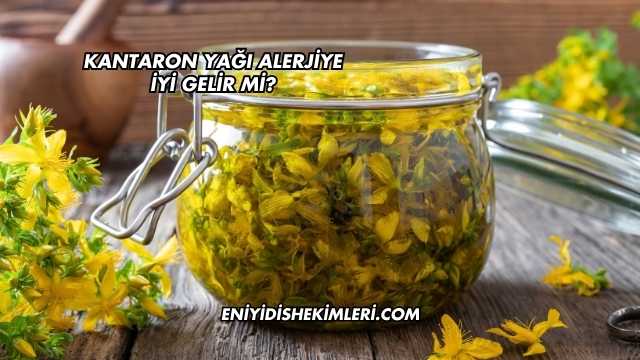 Kantaron Yağı Alerjiye İyi Gelir mi?