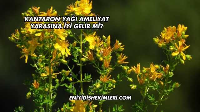 Kantaron Yağı Ameliyat Yarasına İyi Gelir mi?