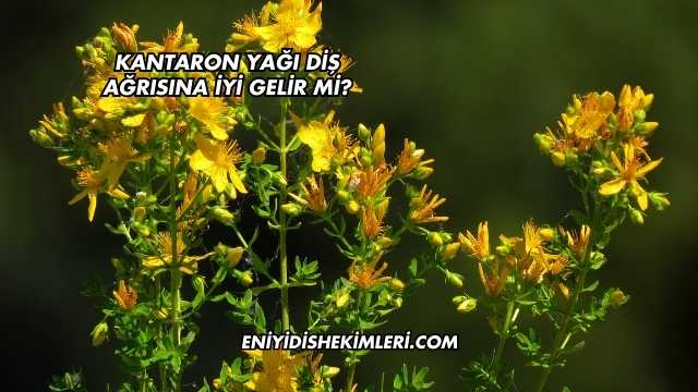 Kantaron Yağı Diş Ağrısına İyi Gelir mi?