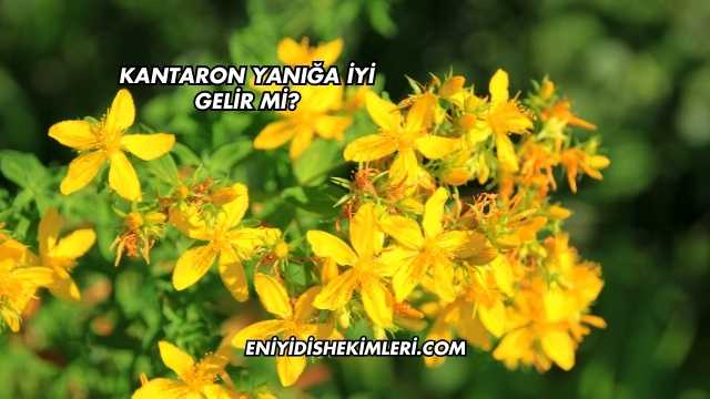 Kantaron Yanığa İyi Gelir mi?